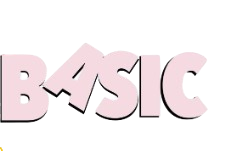 BASIC Online Shop